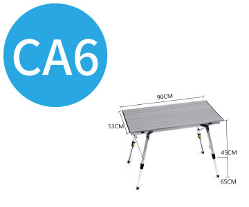 ca6