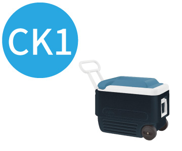 ck1