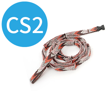 CS2 1